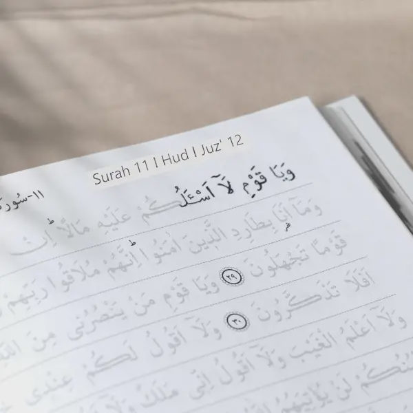 المصحف المظلل بخط اليد مثالي للكتابة وتعلم نص القرآن